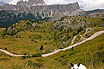 Coniglio Nei Dolomiti Cortina