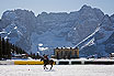 Cortina Polo D'inverno