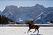 Winter Polo Cup A Cortina D'Ampezzo